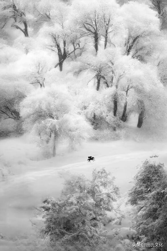 田氏文化,田氏宗亲文化传播