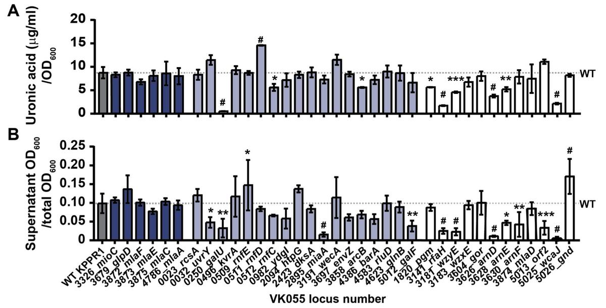 转座子随机插入突变体库——获得新靶点的绝佳方法