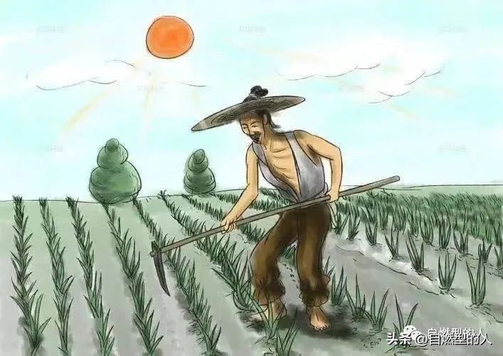 吃正宗东北饺子,正宗东北饺子是啥呀