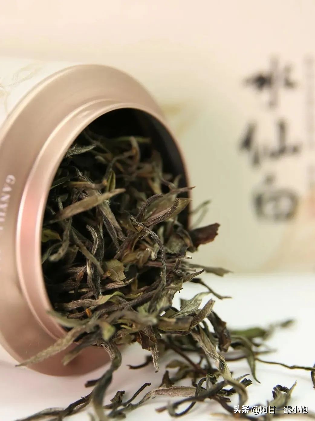 建阳小白茶现状,建瓯北苑贡茶的现状