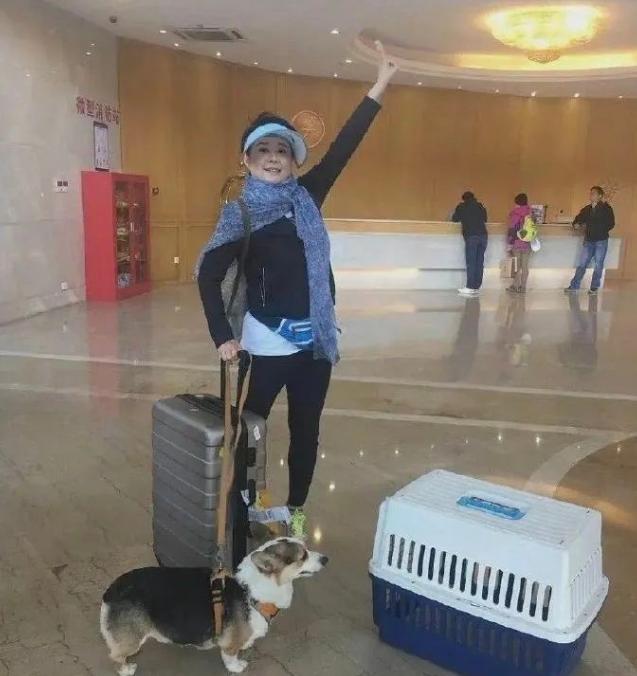 以为是谣言实际是真事，撒贝宁、郑中基、成龙个个离谱，件件惊人