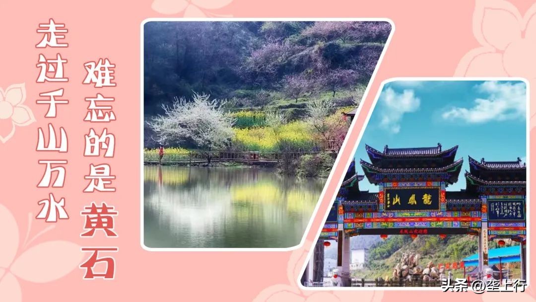 湖北春季赏花攻略十大赏花路线,叮你有一份礼物请查收音频