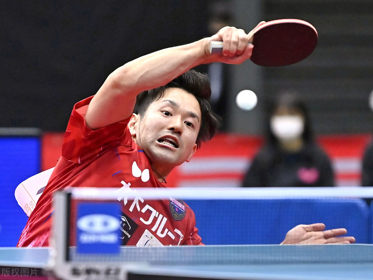 张本智和日本32强赛夺冠,世乒赛日本张本智和输给谁