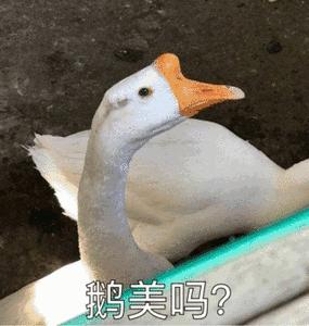 粑粑拉不出来是为什么,粑粑拉不出来按哪里