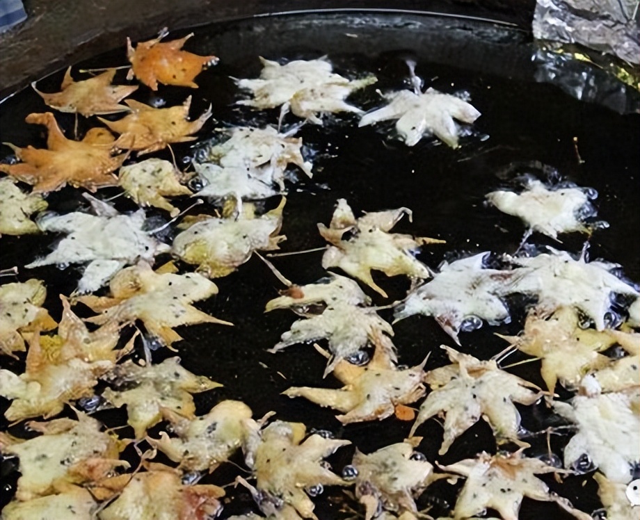 在中国用来喂猪的玉米芯,在中国喂猪的玉米棒子