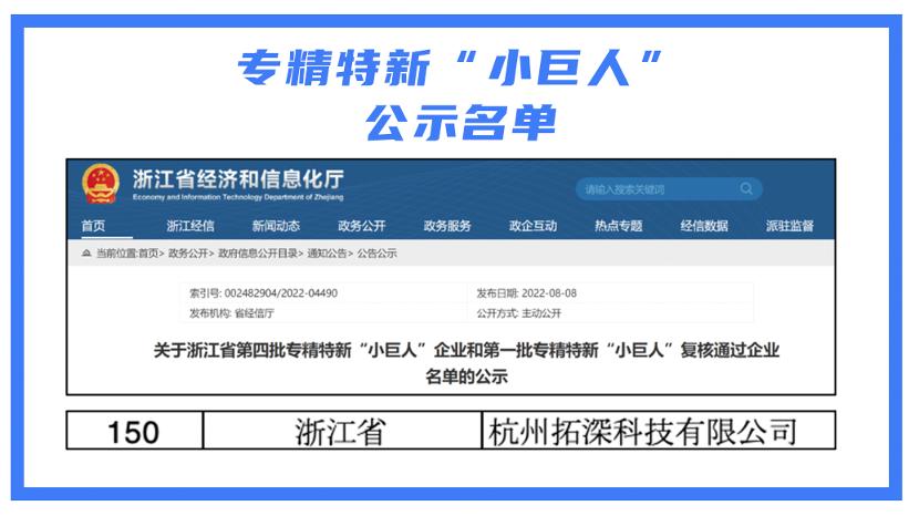 专精特新小巨人电力,电力板块专精特新小巨人