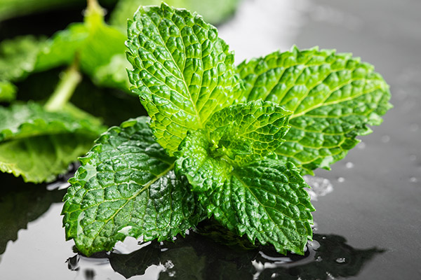 植保黑科技助力绿色农业,栽培技术植保技术决定农产品质量