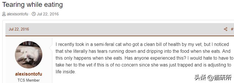 猫咪吃饭眼泪汪汪,猫咪吃饭流眼泪是为什么