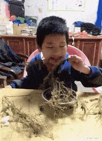 女友是太平公主,说女朋友是太平公主怎么哄