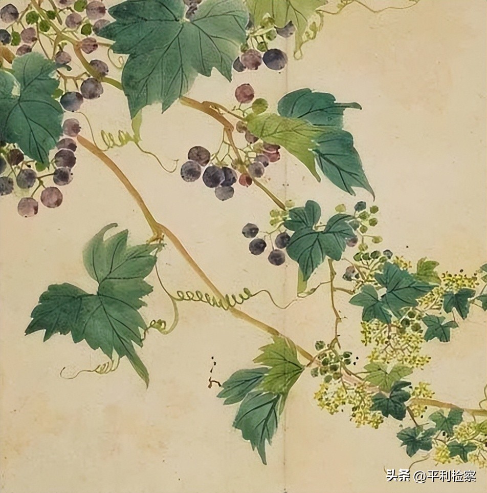 高中文化常识归纳语文,语文常识大全值得收藏