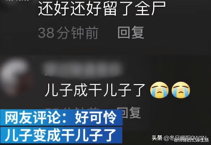 学生适合在宿舍里养的小宠物,在宿舍偷偷养的小宠物