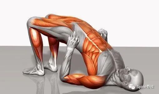 腰椎间盘突出症状表现,腰椎间盘突出症疼痛最佳止痛方法