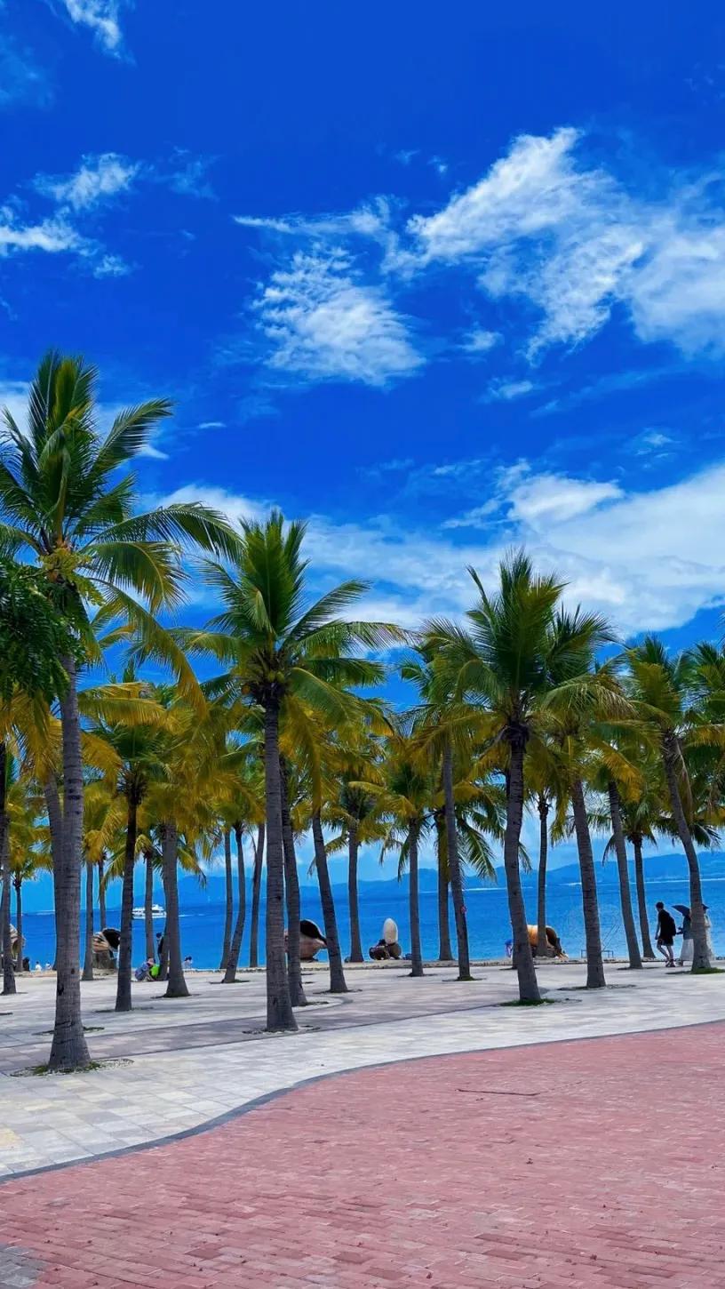 高清真人取图小程序,美人取图小程序