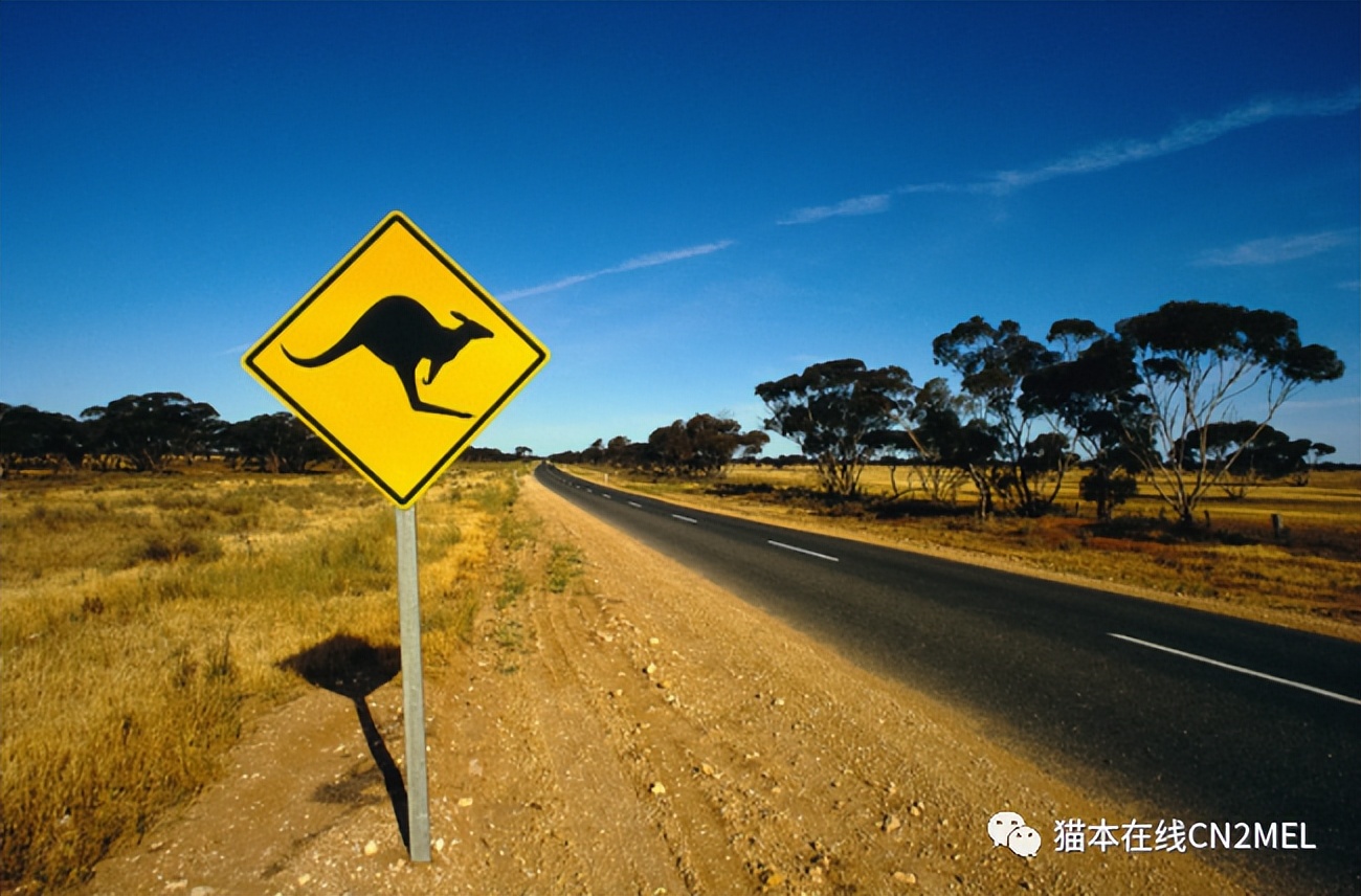 “刚来就想快点回去！”华人发文称澳洲体验感差，被大批人网暴