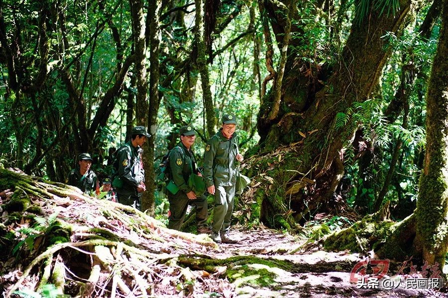 中国这十年的变化图片,中国这十年的变化日新月异