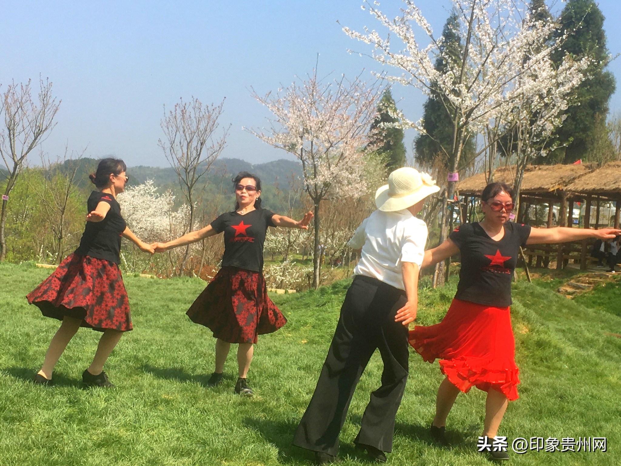 贵阳今年最好玩的赏花好去处推荐,贵阳十大赏花地推荐
