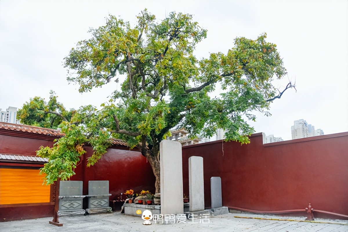 漳州古城的小吃街图片高清,漳州古城古街古巷