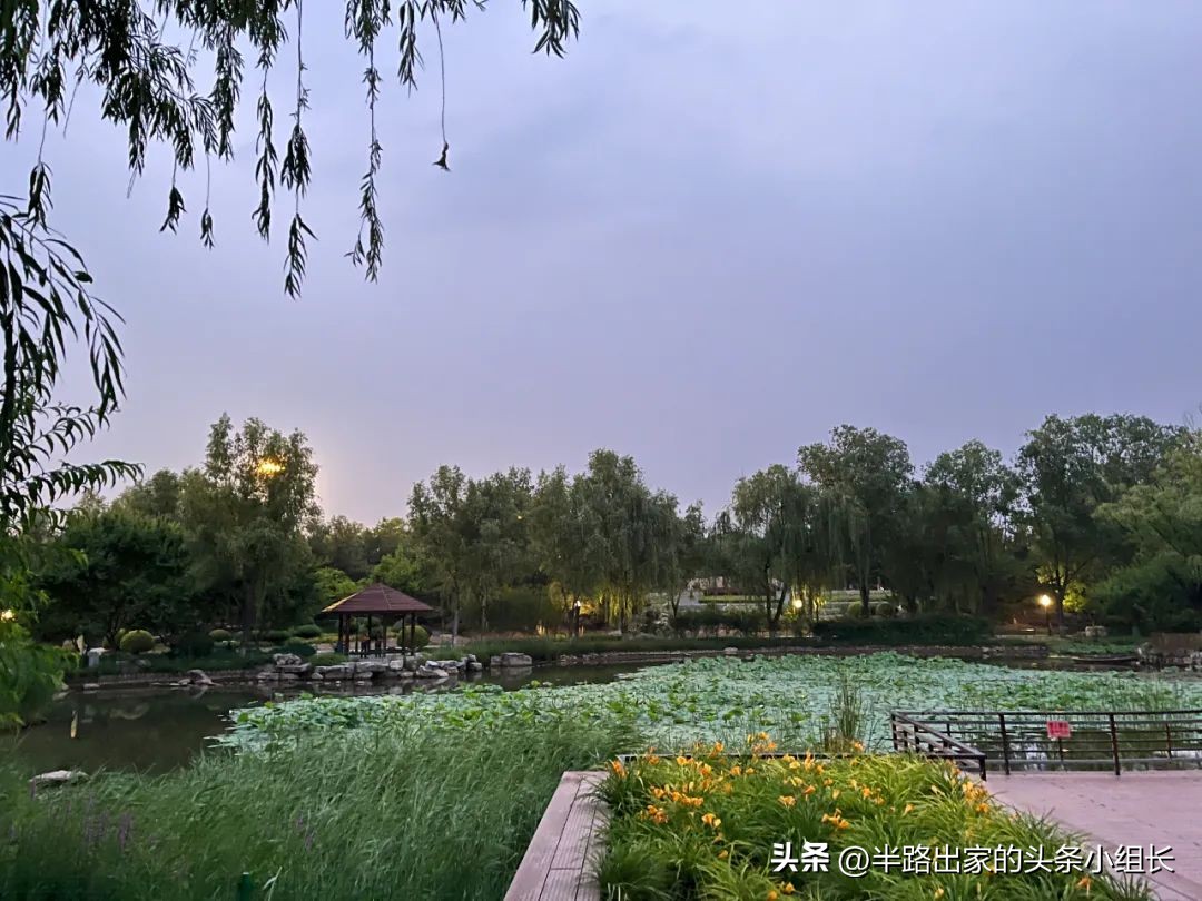 太阳宫四大神盘是什么学区,四大神盘之成都麓湖生态城