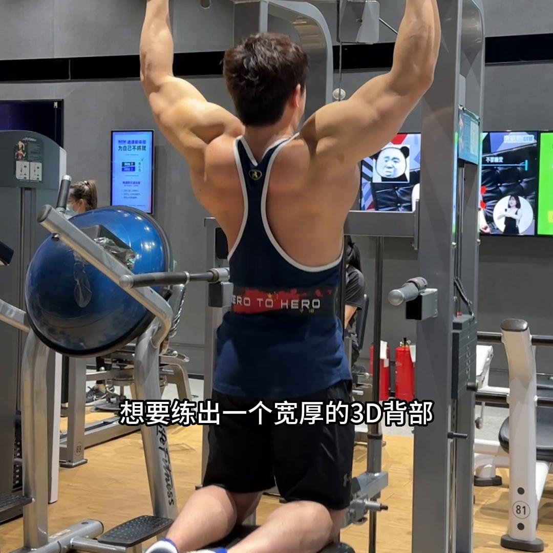 女性弹力带背部训练计划,健身研究院背部训练计划