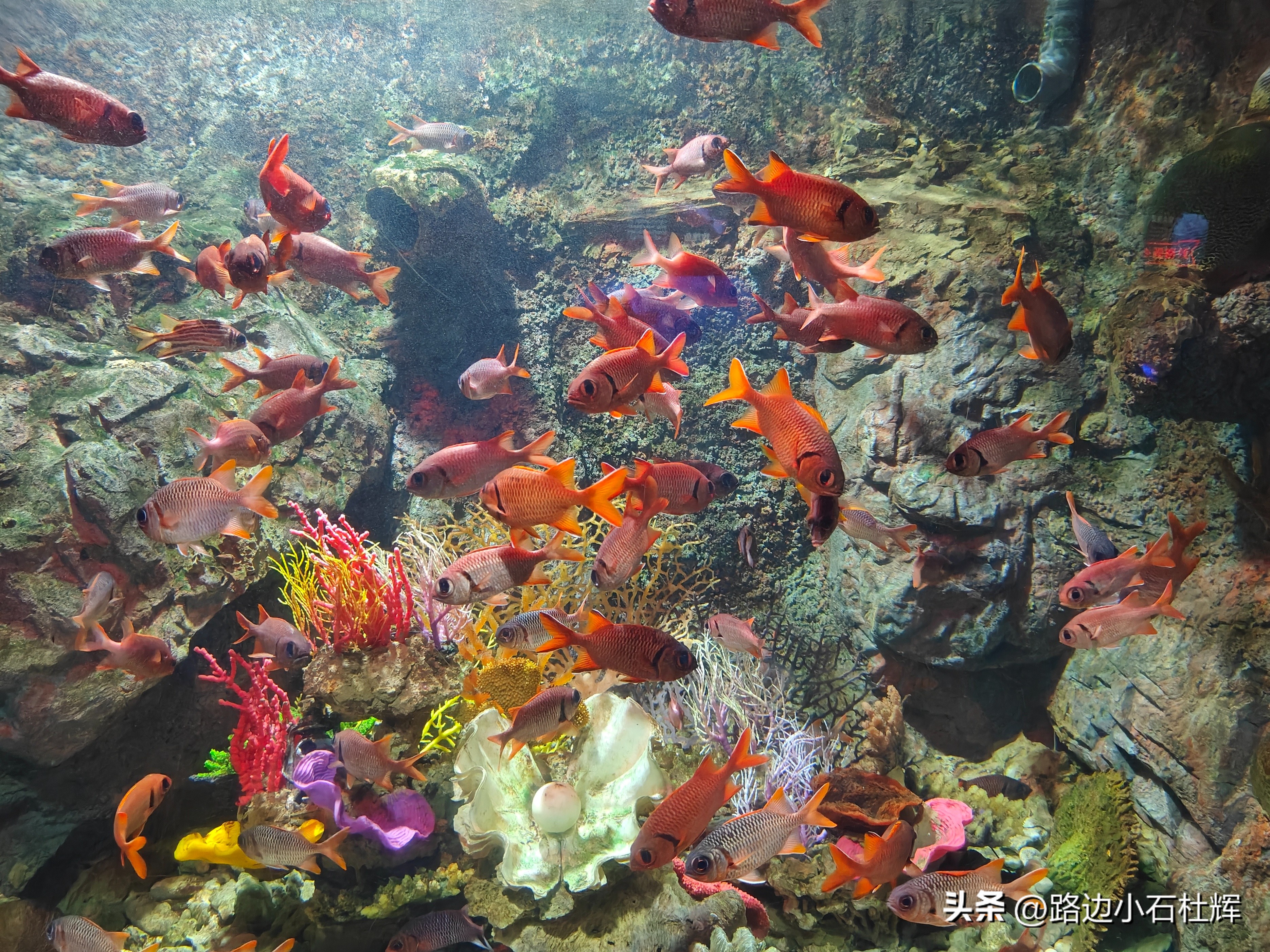 游逛人间,北京海洋馆旅游攻略