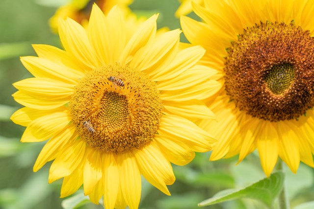 如何赢得别人的尊重,一个人要想赢得别人的尊重