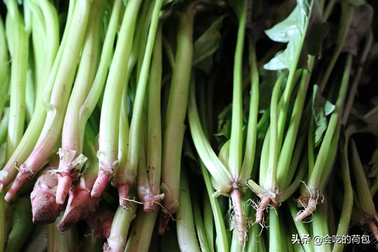 蔬菜储存方法大全，带你学会13种蔬菜的贮存技巧，一个月不用出门