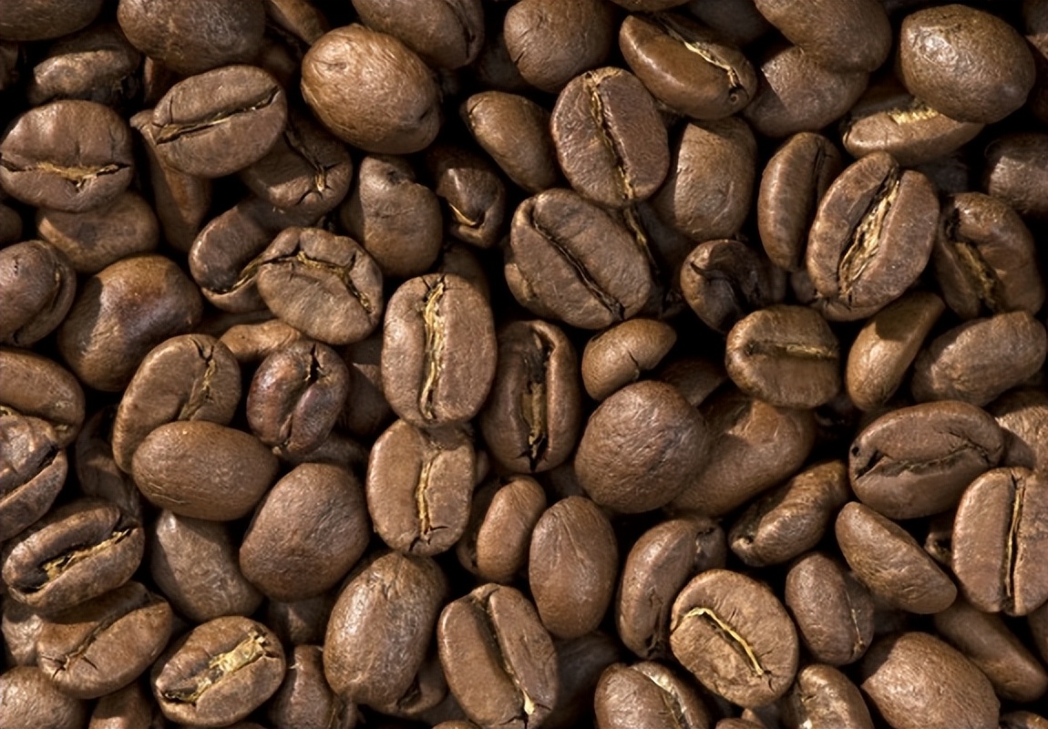 世界上跨世纪的发明有哪些,20世纪的发明有哪些