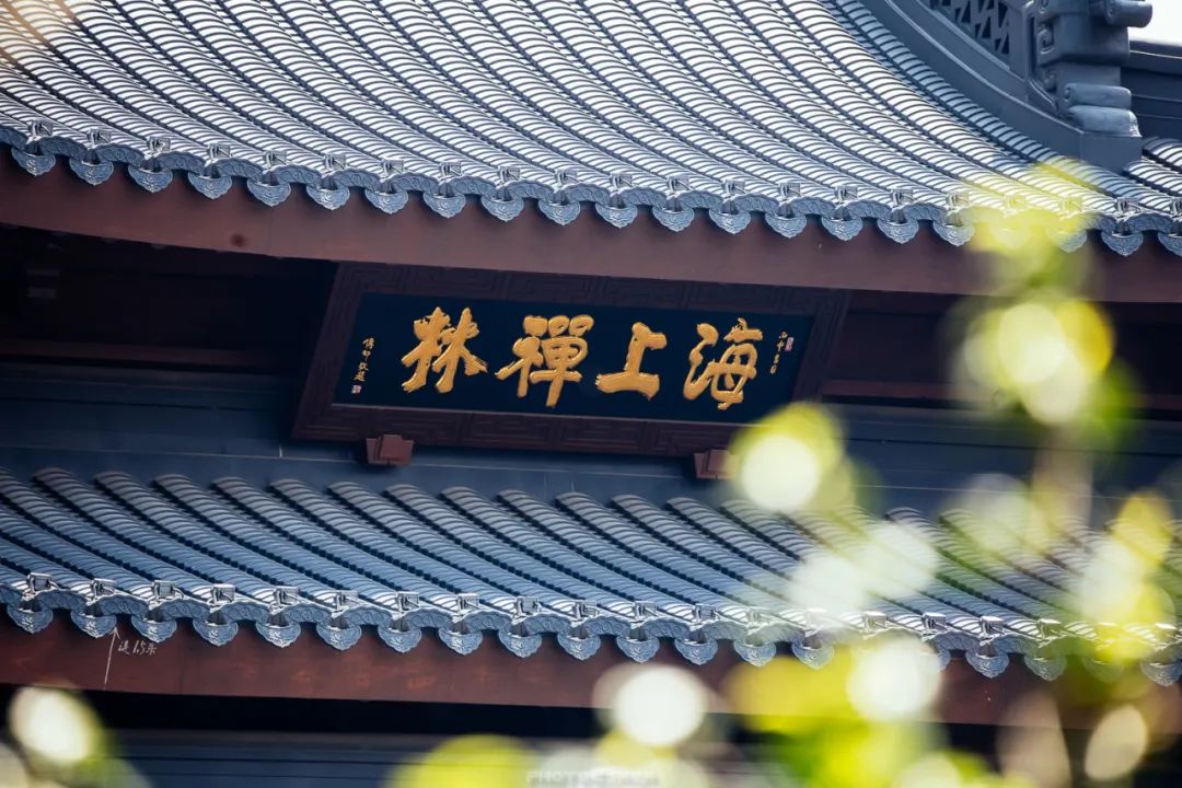 听人劝吃饱饭有道理吗,听人劝吃饱饭有什么说法