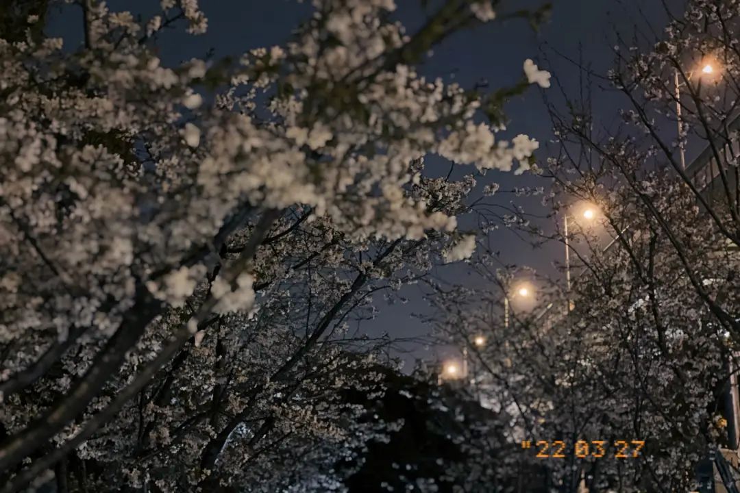 错过了一个秋天,错过了一个春秋