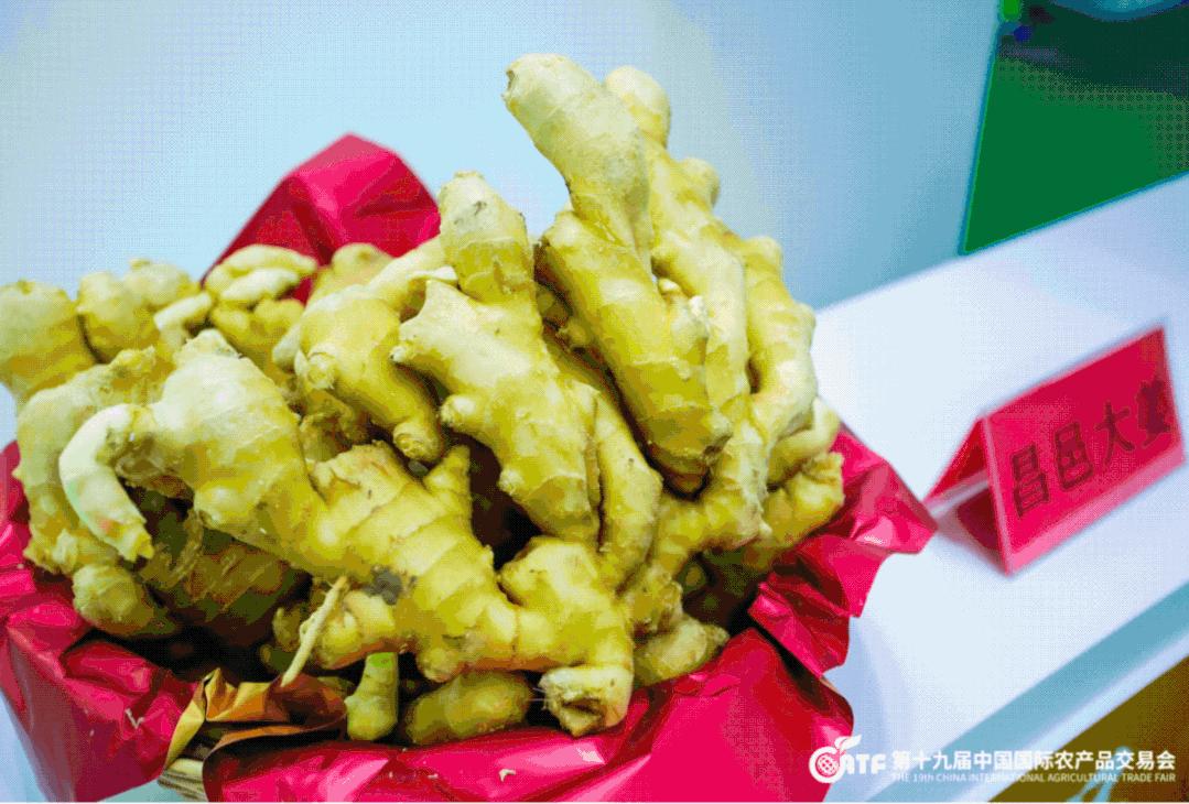 开眼了！西博城那么大的超市你见过吗