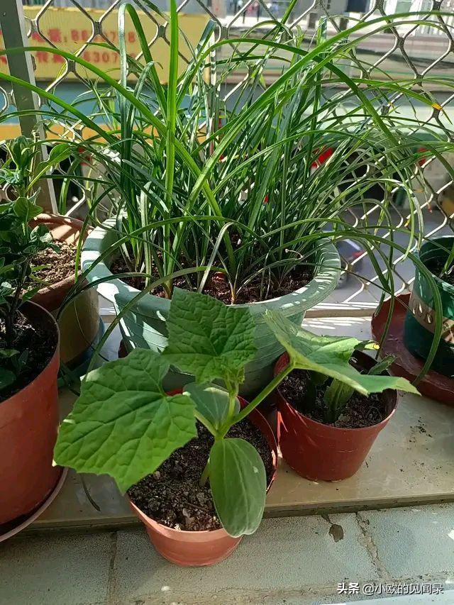 深圳打工500块钱租房子一个月,深圳打工租的2000元的房子