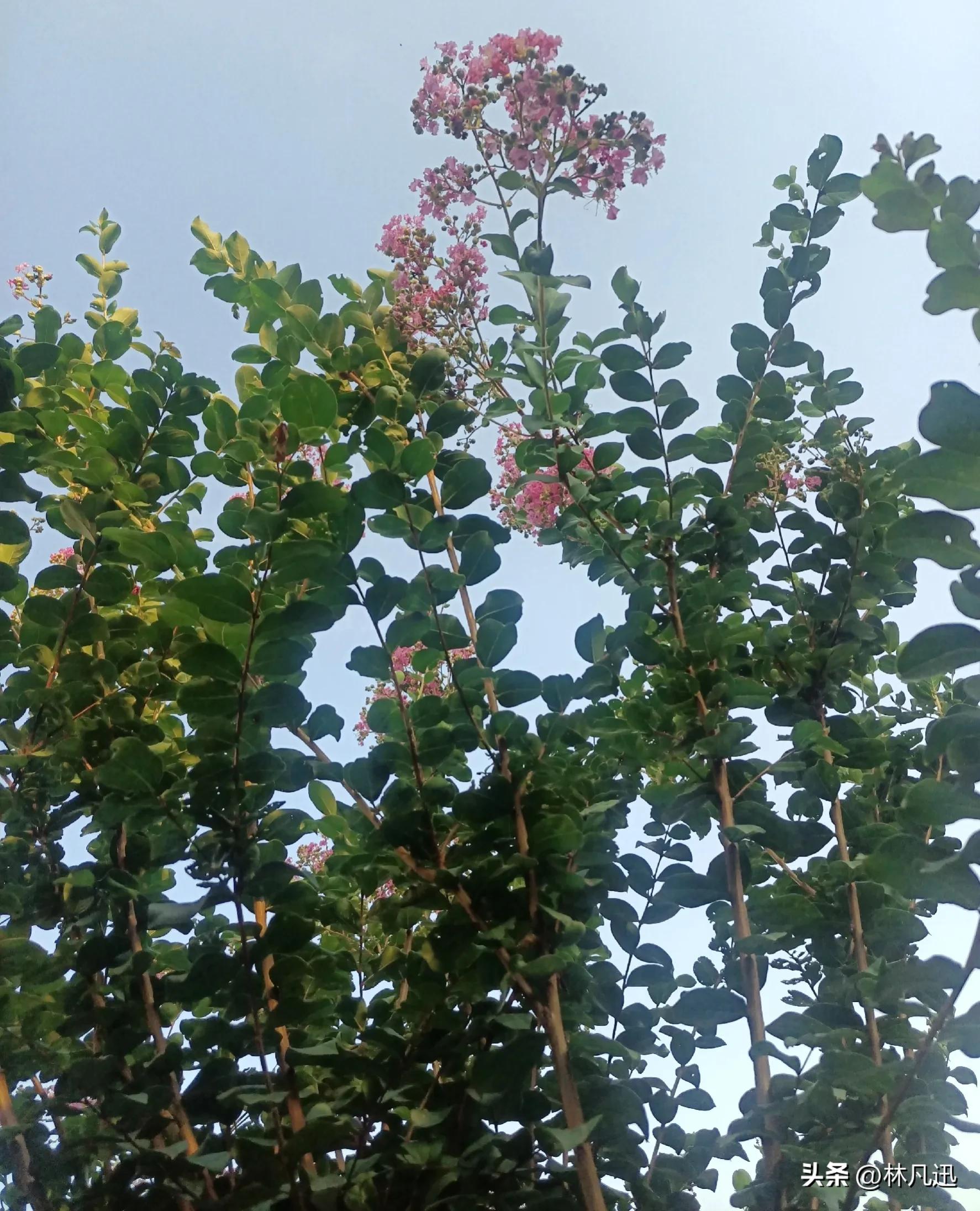 好股低估值,好股并不多股价在低位