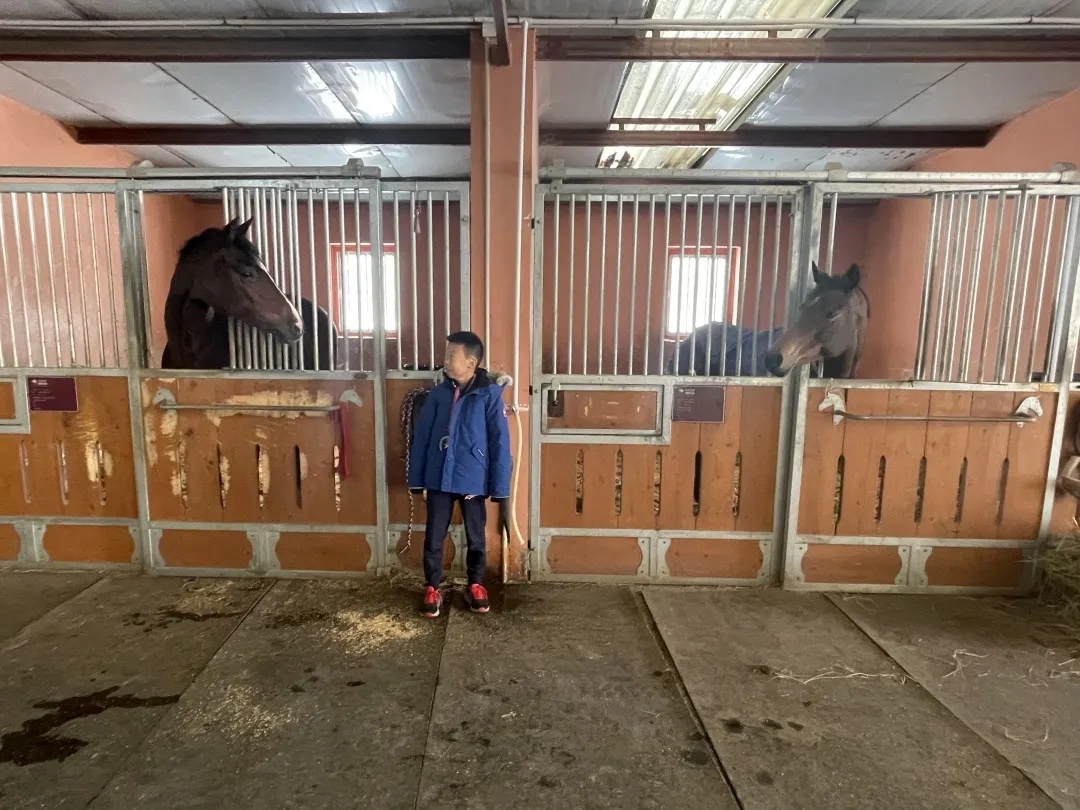 ckur马术俱乐部,ckur国际马术俱乐部18周年嘉年华