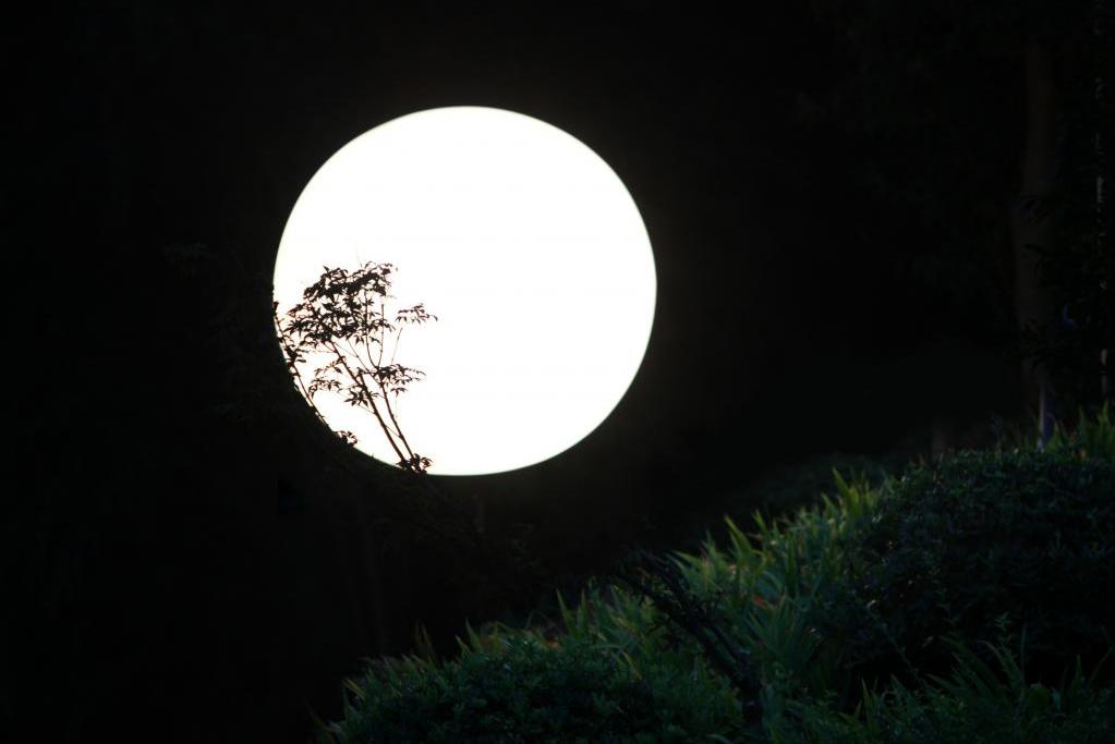 描写春月的七绝诗,关于春月的古诗词名句