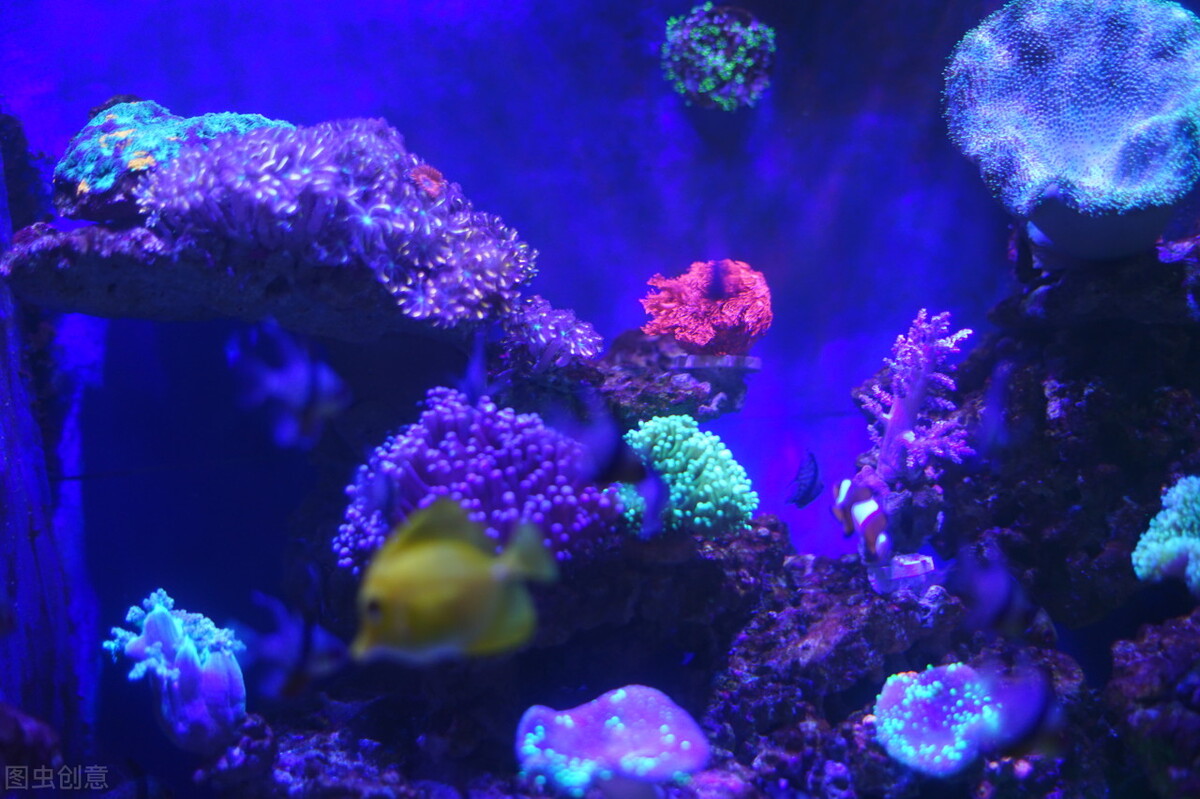 各地方言占比,无人区方言汇集