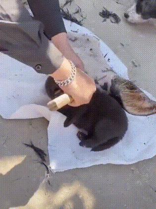 爆笑名场面动图,爆笑动图笑话大全