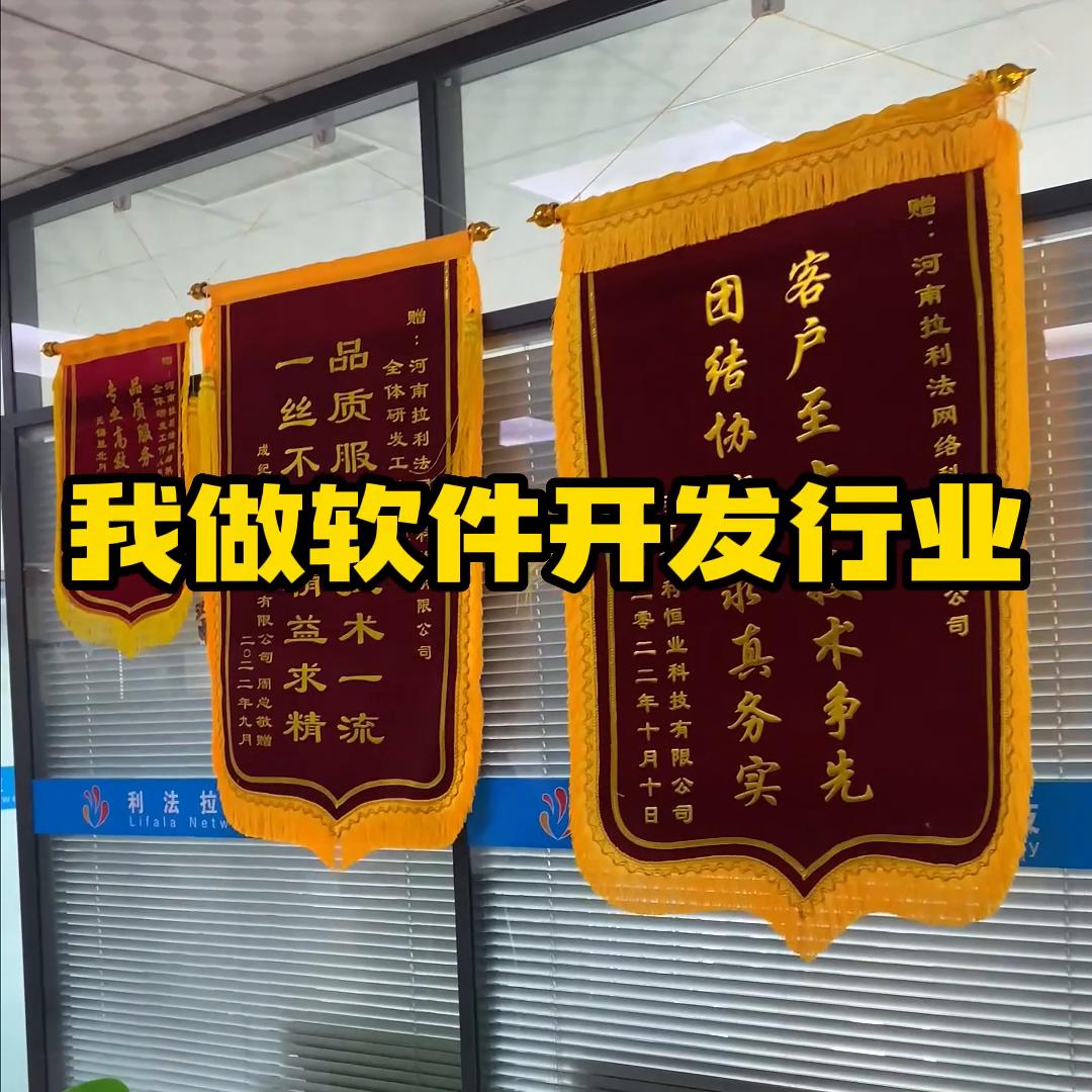 软件开发报价计算,揭秘软件开发的价格表