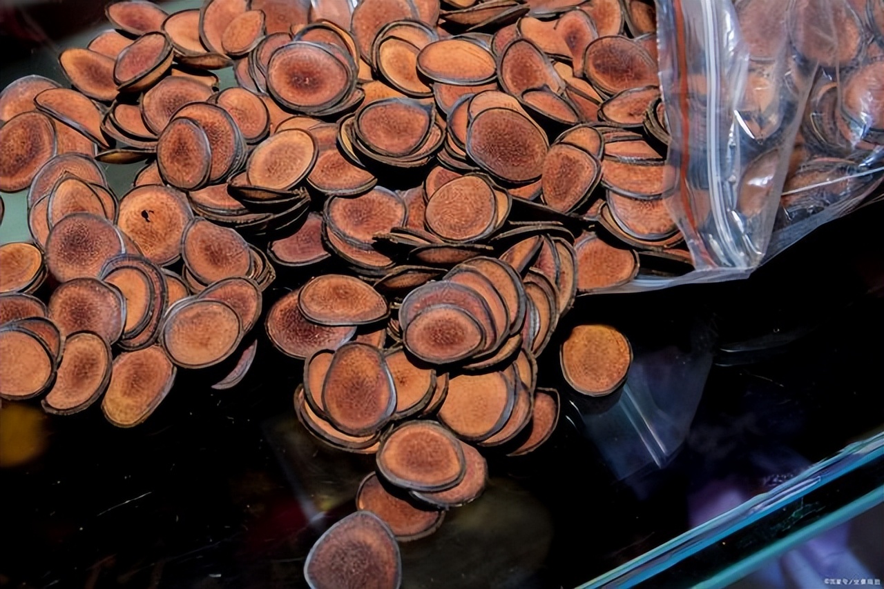 农村开办工厂合法吗,在农村开办工厂