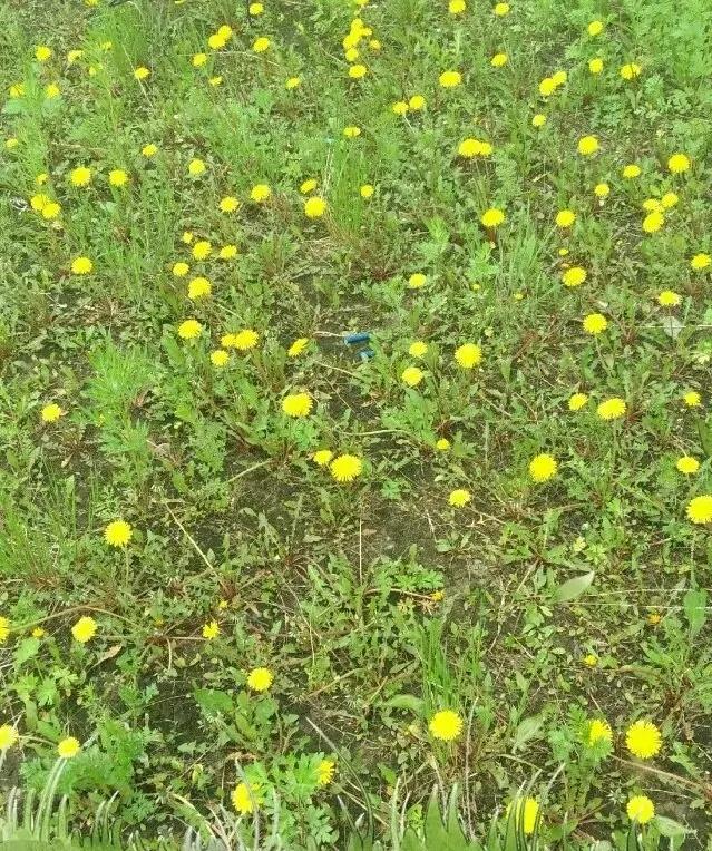 收获在春天里,春天播种秋天收获