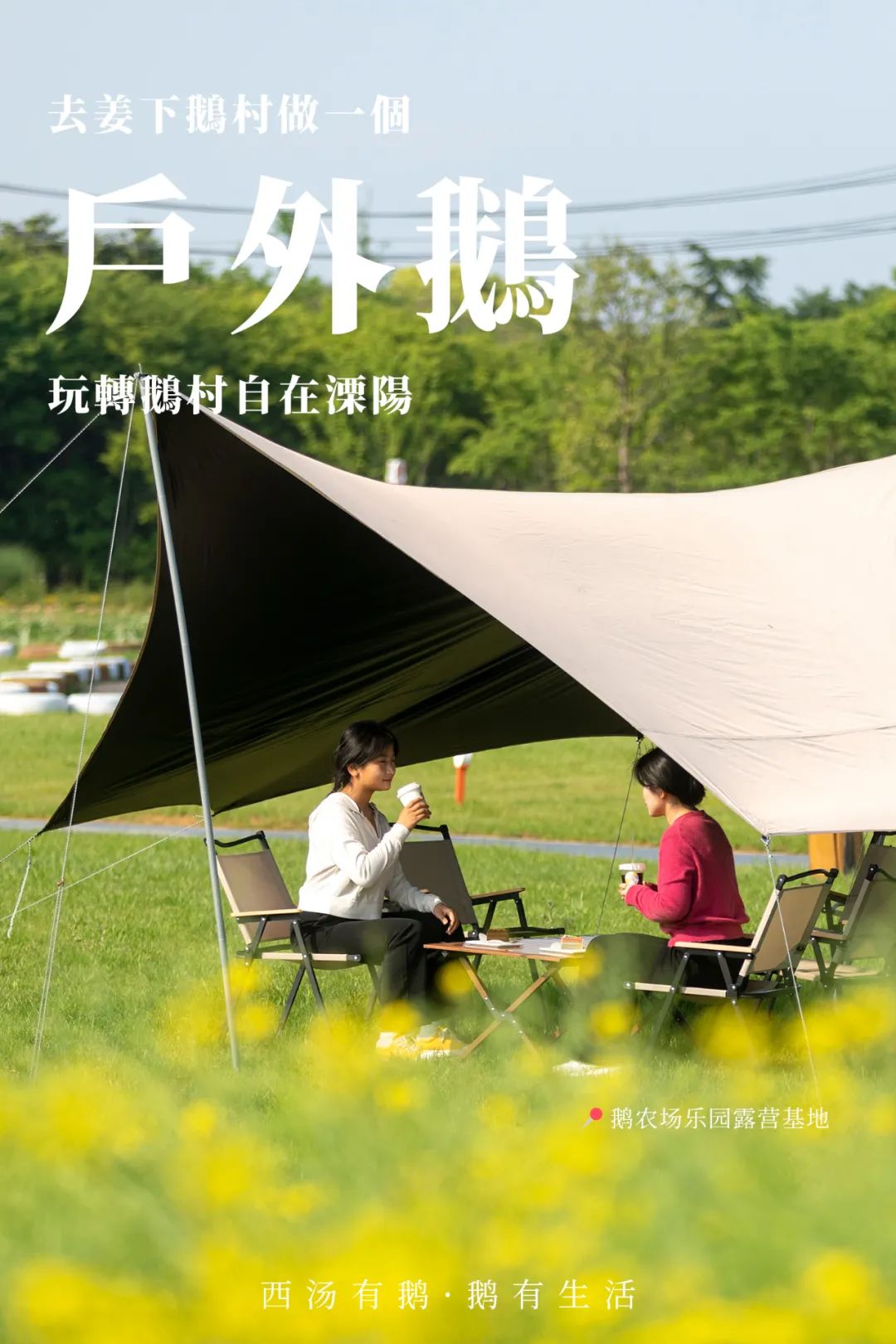 这个五一长假，闯进溧阳鹅村童话世界，做个快乐的大小“鹅”童