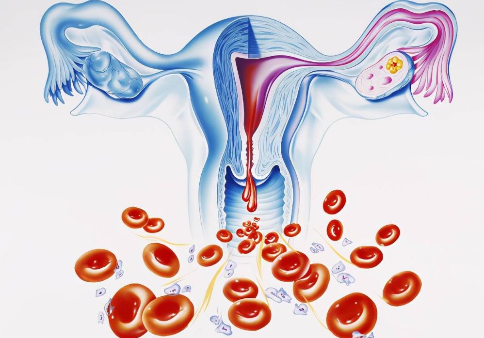 喝酒可以助“性”?医生总结:6条性生理知识不知道欺骗了多少人