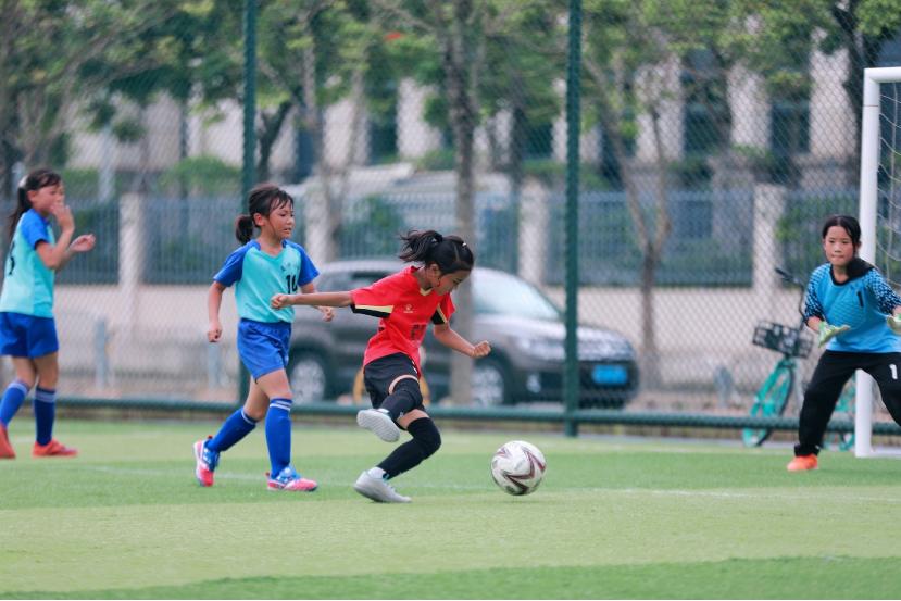 龙岗区青少年足球比赛,青少年足球比赛落幕