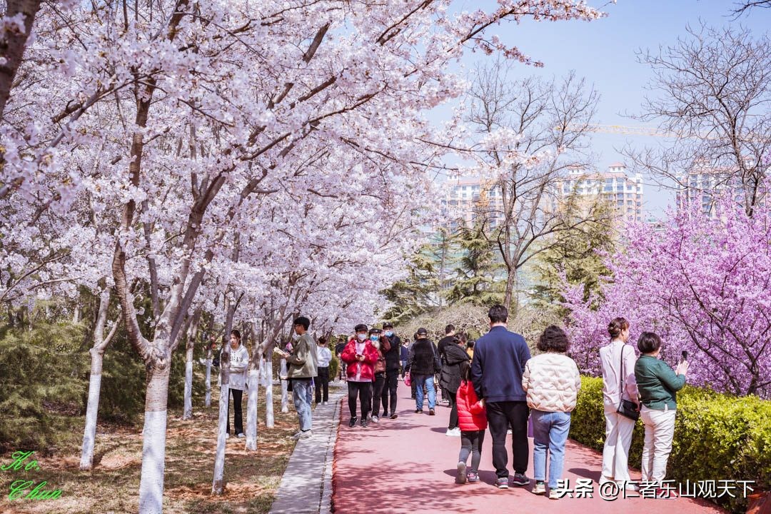 丧家的资本家乏走狗原文,丧家的资本家乏走狗指的是谁