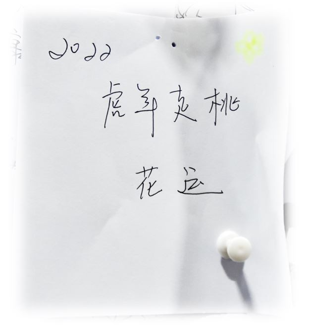 哇塞,这么多陌生人的心愿