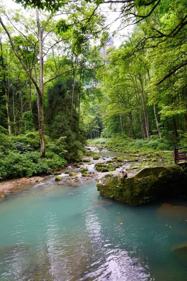 张家界旅游推荐景点大全,张家界武陵源旅游攻略最新