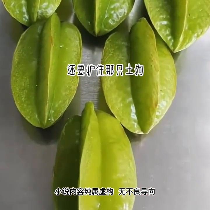 冬天已逝,寒冷逝去