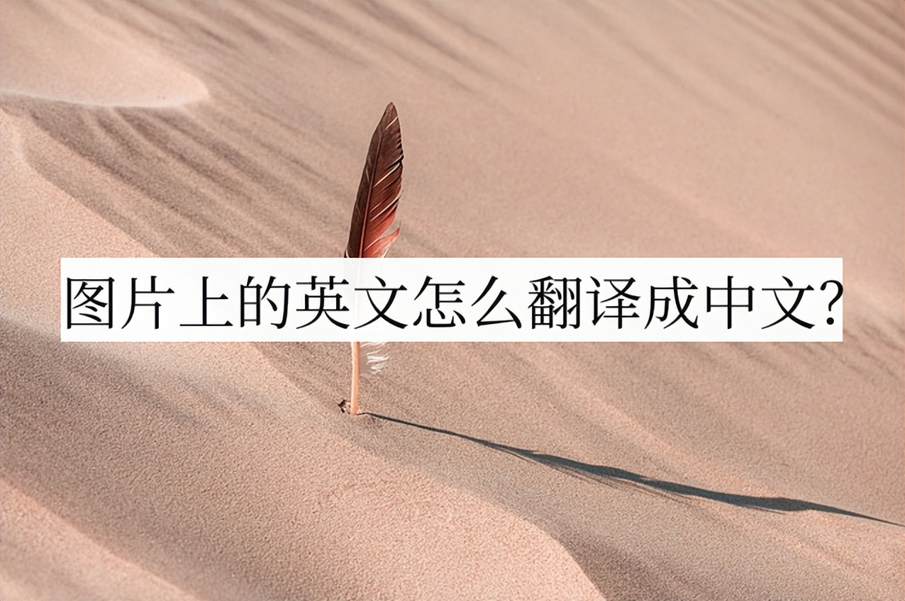 图片上的英文怎么翻译成中文？分享两款图片翻译神器