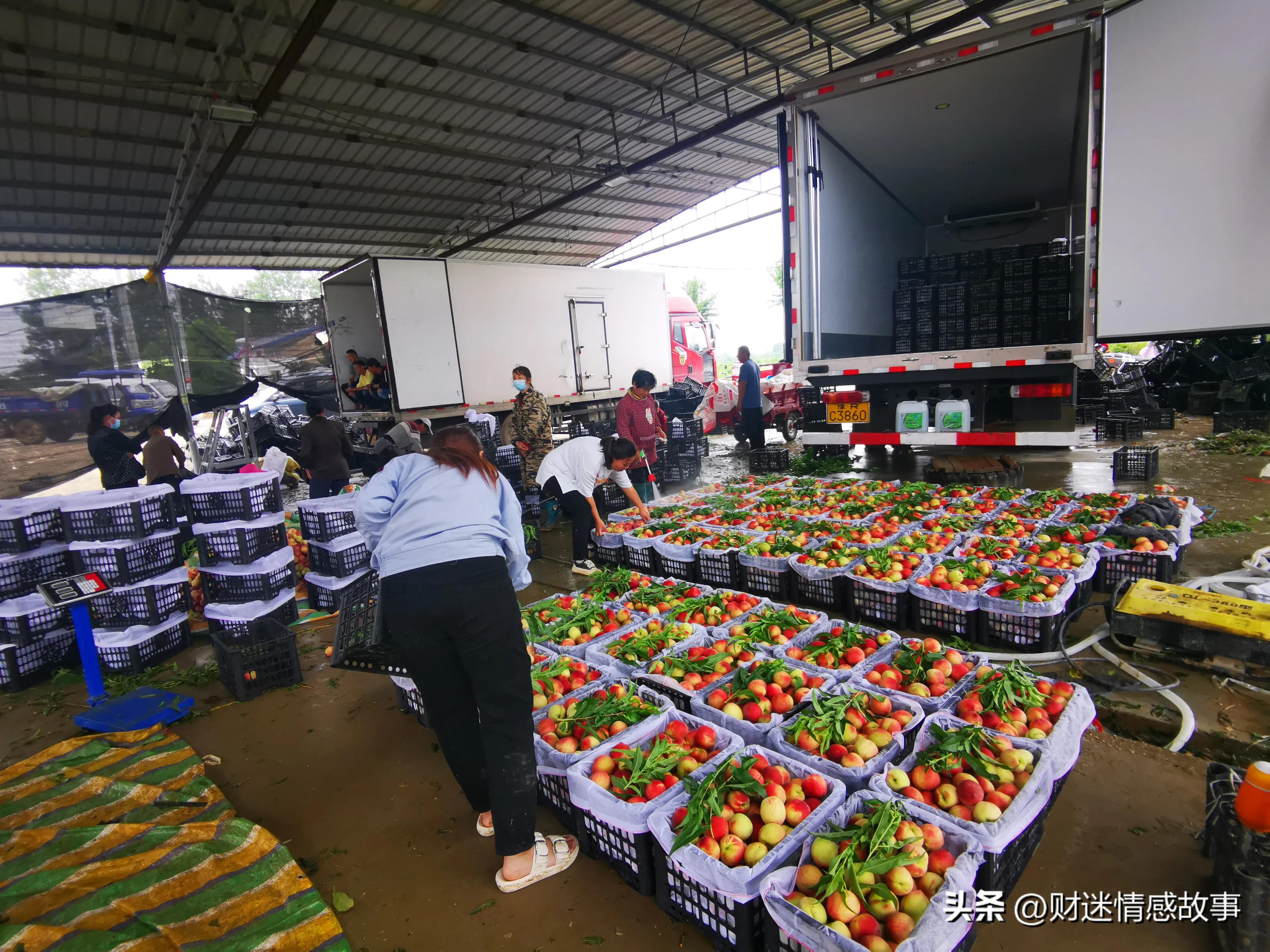 零投资快速赚钱方法,零投资的赚钱方法哪里有