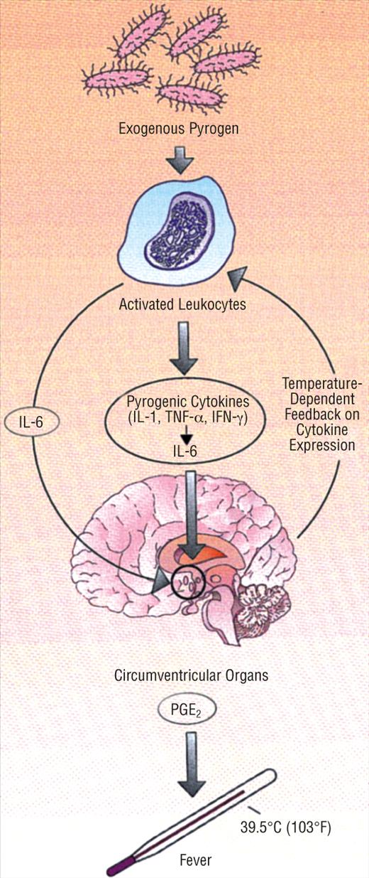 打过新冠疫苗发烧能吃退烧药吗,感染新冠发烧能用退烧药吗
