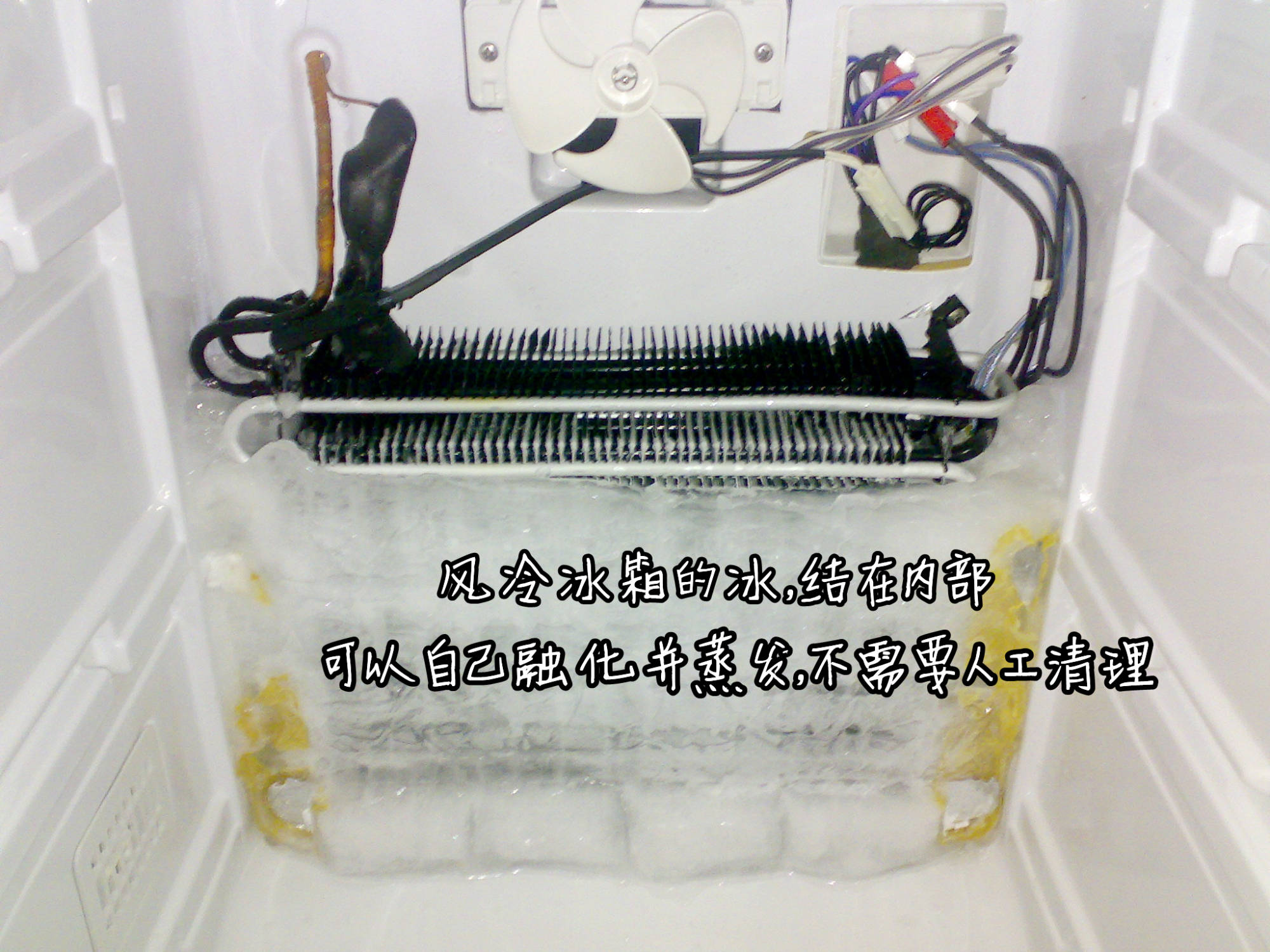 冰箱怎么选不要只看品牌,风冷无霜三开门冰箱哪个品牌最好